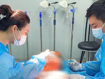 解剖班